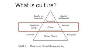 Hofstede's three levels of mental programming: human nature, culture, personality