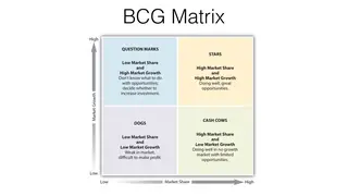The BCG matrix