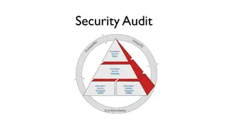 The security audit