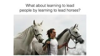 Planning a leadership retreat: what about learning to lead horses?