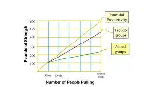 Ringelmann's rope pull: actual groups fall short of potential productivity